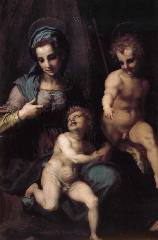 Andrea del Sarto The Virgin and Child with St. John childhood China oil painting art